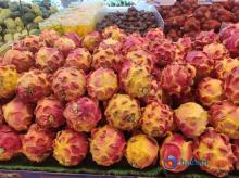 Buah Naga, Super Buah yang Memukau dengan Segudang Manfaat Kesehatan