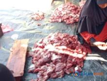 Panduan Penyimpanan Daging Kurban untuk Tetap Segar dan Aman
