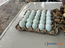 Telur Asin, Warisan Kuliner Tradisional yang Tetap Bertahan di Era Modern