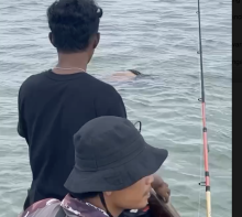 Jasad Pria yang Diduga Bunuh Diri di Jembatan 1 Barelang Ditemukan Pemancing
