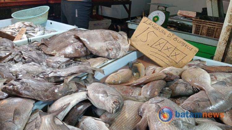 Eksplorasi Ikan Tawar dan Laut di Pasar Batam: Perbedaan Nutrisi dan Preferensi Konsumen