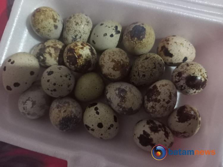 Manfaat Luar Biasa dari Telur Puyuh, Kecil Tapi Kaya Nutrisi