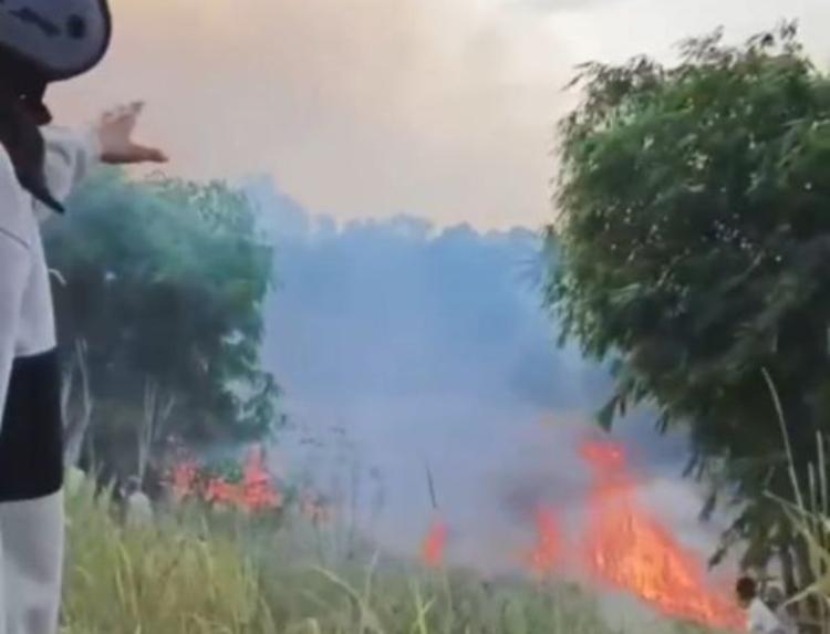 Kebakaran Hebat di Hutan Kampung Tua Tanjung Bemban, Damkar Kesulitan Karena Akses Jalan Sempit