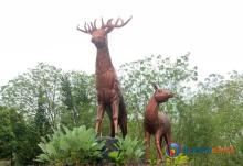 Taman Rusa Sekupang di Batam, Destinasi Wisata Edukatif yang Ramah Anak
