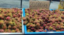 Semangat Kayla, Penjual Rambutan Musiman di Tiban Center
