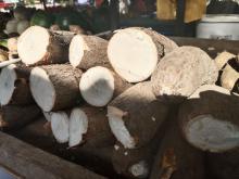 Dari Camilan hingga Hidangan Penutup, Berikut Kreasi Kuliner Ubi yang Menggugah Selera