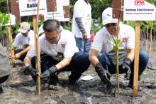 Dukung Pelestarian Alam Berkelanjutan, PT Cipta Persada Mulia Tanam Mangrove di Pesisir Bakau Serip, Nongsa Batam