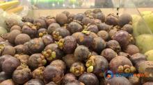 Kulit Manggis, Manfaat Luar Biasa dari `Ratu Buah-Buahan Tropis`