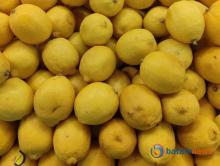 Lemon, Buah Kecil dengan Manfaat Kesehatan Besar