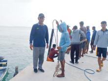 Warga dan Camat Katang Bidare Gotong Royong Perbaiki Sandaran Kapal Ferry di Dermaga Pulau Bukit