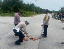 Kecelakaan Maut Antar Truk dan Sepeda Motor di Karimun, Pengemudi Truk Ditahan