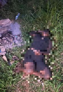 Breaking News! Mayat Perempuan Ditemukan Membusuk di Belakang Toilet Depan Pembatas Apartemen Pollux Habibie