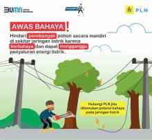 Hati-Hati! Bahaya Menebang Pohon di Dekat Jaringan Listrik
