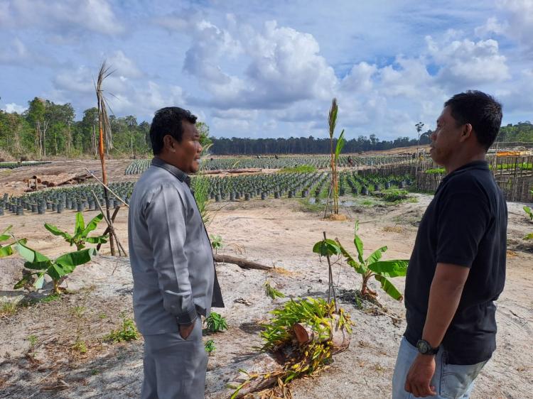 Waka I DPRD Lingga Pantau Perkebunan Sawit PT. CSA di Desa Limbung, Prioritaskan Manfaat untuk Warga