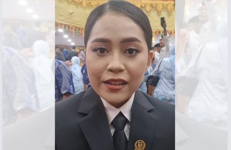 Novelin Fortuna Sinaga, Politisi Muda Usia 23 Tahun Resmi Dilantik Sebagai Anggota DPRD Batam