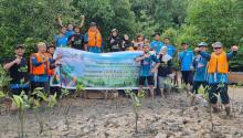 PLN Batam Tanam 1.000 Pohon Mangrove di Nongsa, Wujudkan Komitmen Pelestarian Lingkungan
