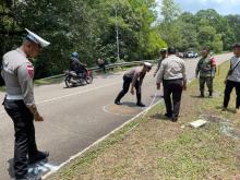Kecelakaan Maut di Safari Lagoi Bintan: 2 Tewas, 12 Luka-luka, Penyebab Masih Diselidiki