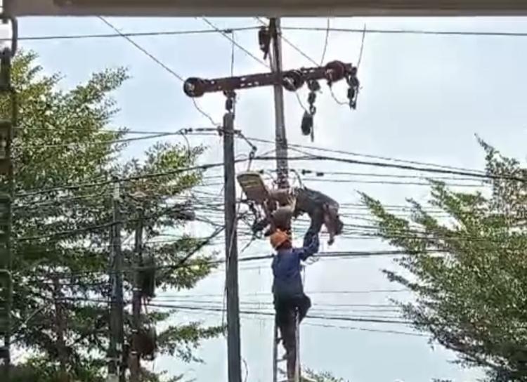 Identitas Teknisi Internet Kesetrum di Tanjungpinang, Febriandi Alamsyah Alami Luka Bakar Serius