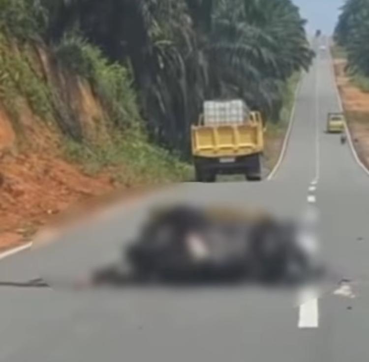 Kecelakaan di Jalan Lintas Timur Bintan, Seorang Pengendara Motor Diduga Tewas di Tempat