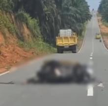 Kecelakaan di Jalan Lintas Timur Bintan, Seorang Pengendara Motor Diduga Tewas di Tempat
