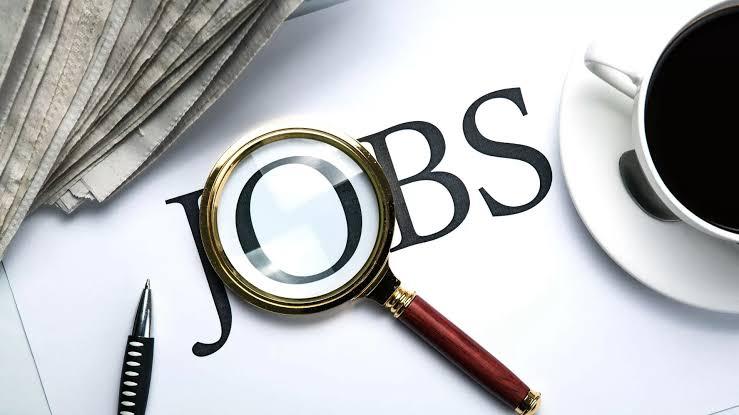 Ada Lowongan Cyber Security Specialist di Batam, Buruan Siapkan Lamaran dan Cek Syaratnya!
