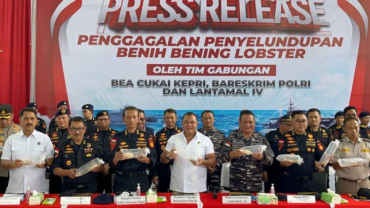 Tim Gabungan Gagalkan Penyelundupan 237 Ribu Benih Lobster Senilai Rp 23,8 Miliar di Batam