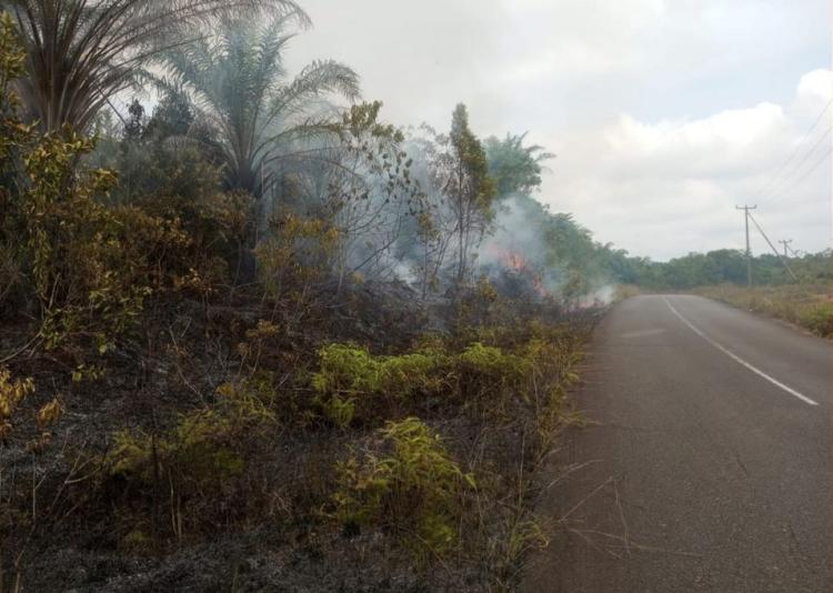 Kebakaran Hutan di Lingga Utara, Api Hanguskan 200 Meter Lahan