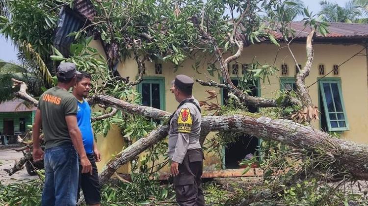 Angin Puting Beliung Tumbangkan Pohon, Rumah Warga di Lingga Rusak