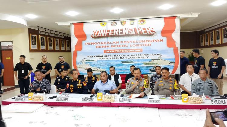 Polri dan Bakamla Gagalkan Penyelundupan 189.000 Benih Lobster Senilai Rp20 Miliar di Perairan Kepulauan Riau