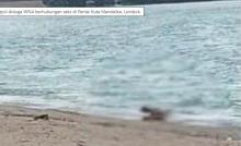 Link Video Sejoli WNA Berhubungan Badan di Pantai Kuta Mandalika Viral, Polisi Ambil Tindakan