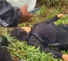 Breaking News! Pengendara Motor Wanita Ditemukan Meninggal di Semak-semak Dekat Stadion Temenggung, Sei Beduk