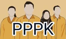 Antusiasme Pendaftar PPPK di Pemprov Riau Meningkat, BKD Riau Terima 2.093 Berkas Pelamar