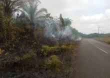 Kebakaran Hutan di Lingga Utara, Api Hanguskan 200 Meter Lahan