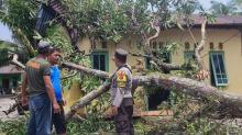 Angin Puting Beliung Tumbangkan Pohon, Rumah Warga di Lingga Rusak