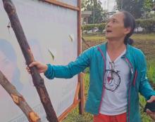 Penggunaan Kayu Bakau untuk Baliho Kampanye di Pilkada Kepri-Batam Menuai Kritik