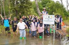 PLN Batam Tanam 1.000 Pohon Mangrove Dukung Pelestarian Lingkungan