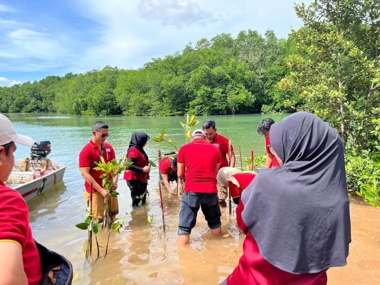 Perangi Abrasi, Alfamart Hijaukan Pesisir Batam dengan 200 Mangrove