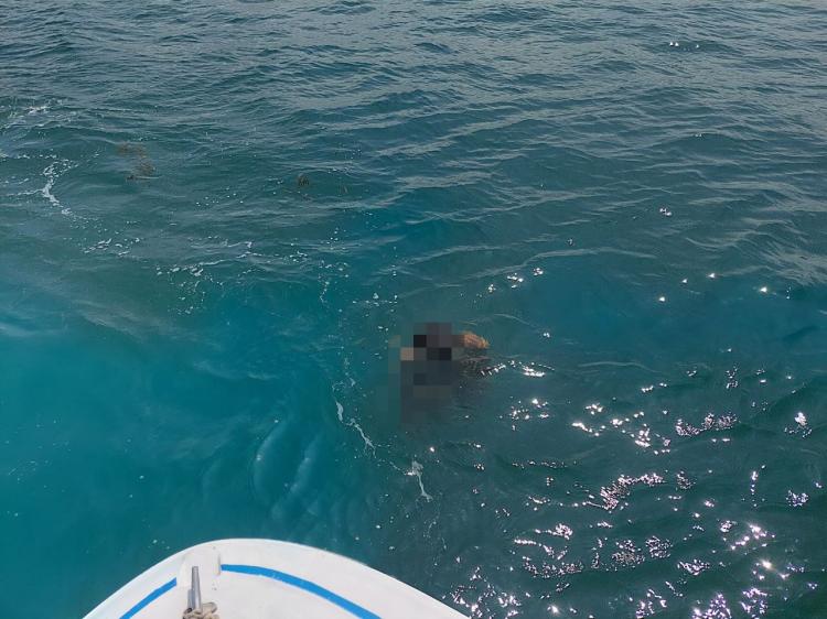 Jasad Pemuda Hilang di Pantai Bahagia Nongsa Ditemukan, Operasi SAR Resmi Ditutup