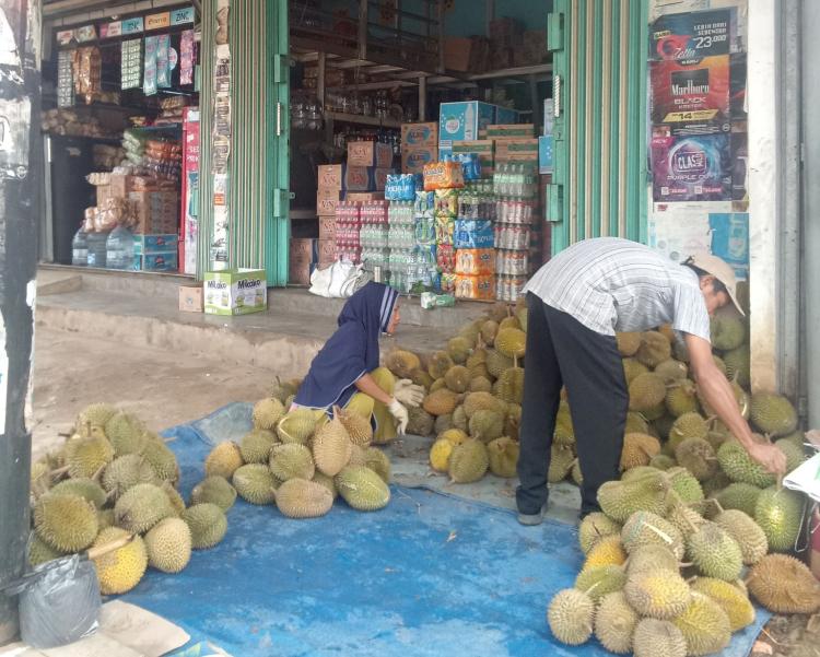 Musim Durian Tiba di Kepulauan Riau: Waspada Makanan dan Minuman yang Harus Dihindari!