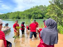 Perangi Abrasi, Alfamart Hijaukan Pesisir Batam dengan 200 Mangrove