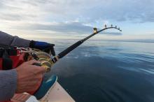 Kelombok Fishing Festival 2024: Daftarkan Tim Anda dan Rebut Hadiah Jutaan Rupiah!