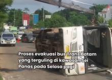 Bus Trans Batam Terguling di Seipanas, Sedang Angkut 2 Penumpang
