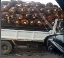 Kecelakaan Avanza dan Truk Sawit di Jalan Galang Batang Bintan, Tidak Ada Korban Jiwa
