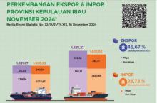 Amerika Serikat dan Singapura Dominasi Tujuan Ekspor Kepulauan Riau pada Januari–November 2024