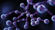 Humanin Peptide: A Mitochondrial-Derived Molecule with Potential Research Implications