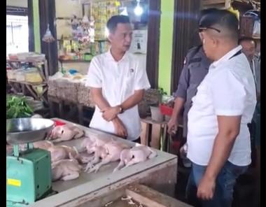 Harga dan Pasokan Stok Ayam Potong di Bintan Awal Tahun Baru 2025