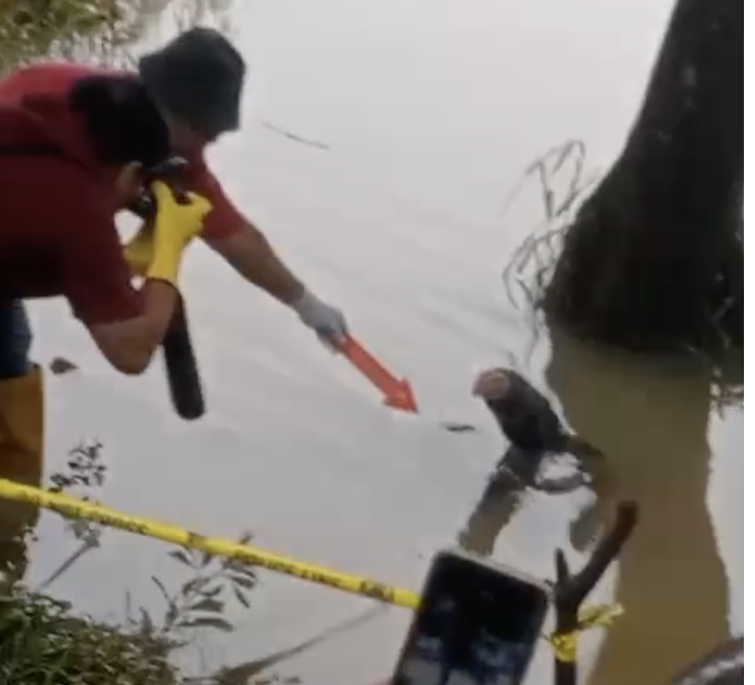 Breaking News! Penemuan Jasad Pria di Danau Gegerkan Warga Nongsa, Ada Luka di Dada