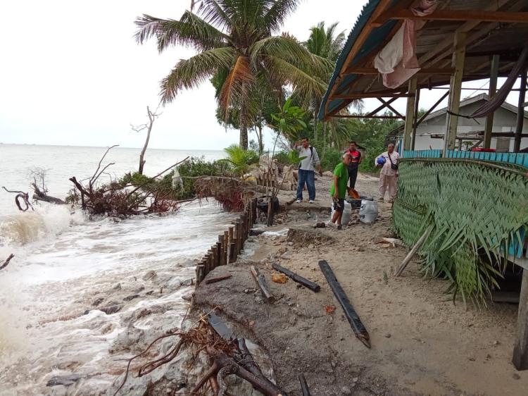 Abrasi Akibat Gelombang Pasang Ancam Pemukiman Warga di Kampung Boyan, Singkep