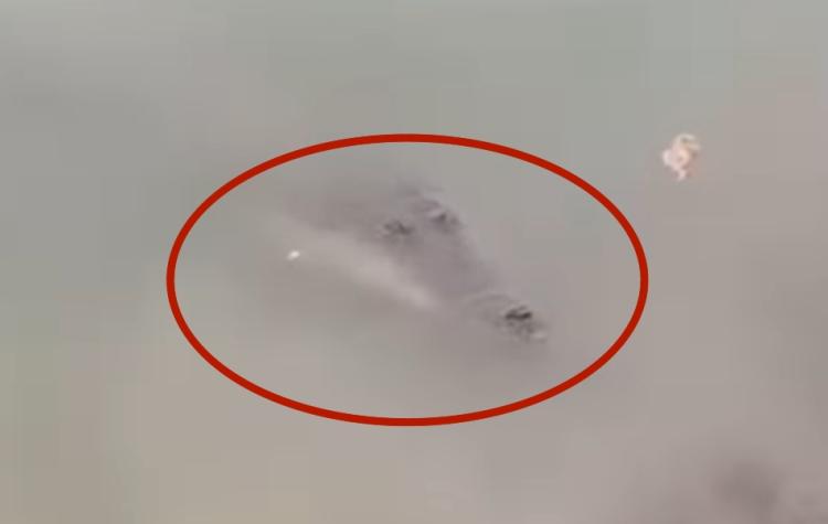 Buaya Lepas dari Penangkaran Pulau Bulan Muncul di KTU Shipyard, Pekerja Beri Makan Bakwan