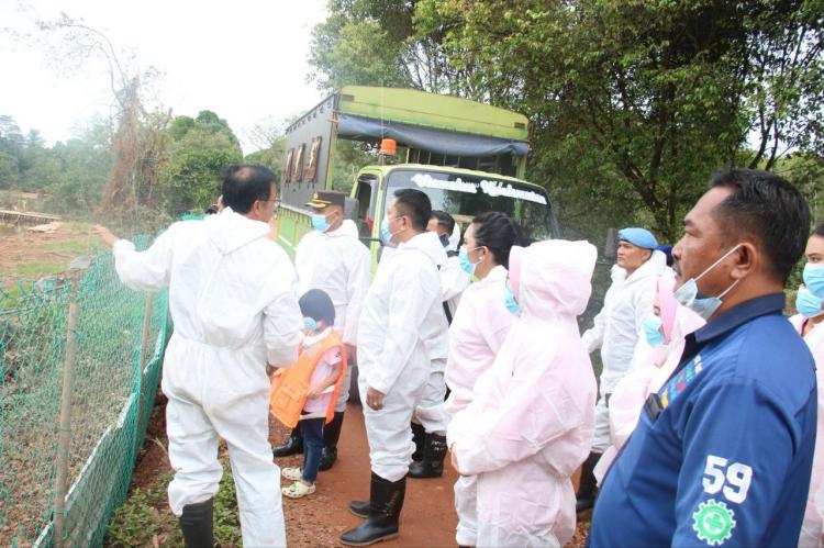 Tiga Buaya Masih Lepas di Alam Bebas saat Kapolresta Barelang Tinjau Lokasi Penangkaran Pulau Bulan 